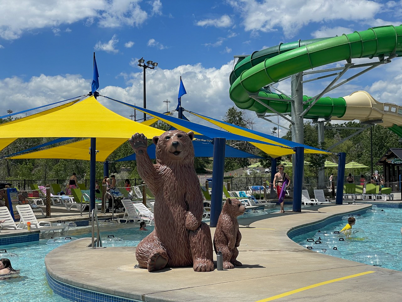 Little bear pond bear